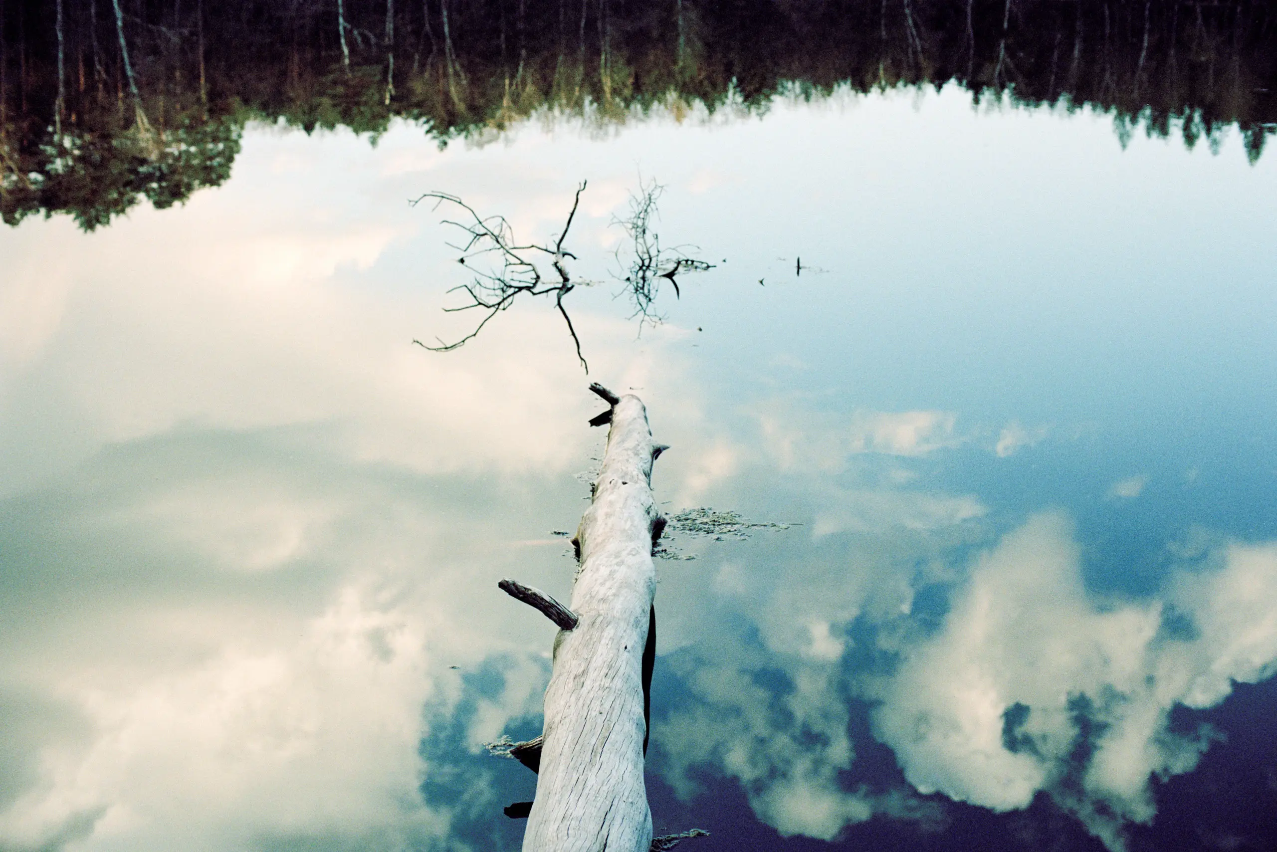 La Biosthetique Corporate CSR 37